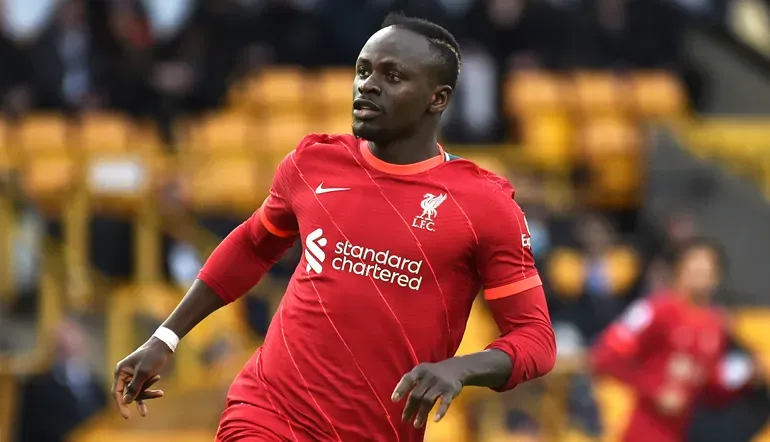 mane